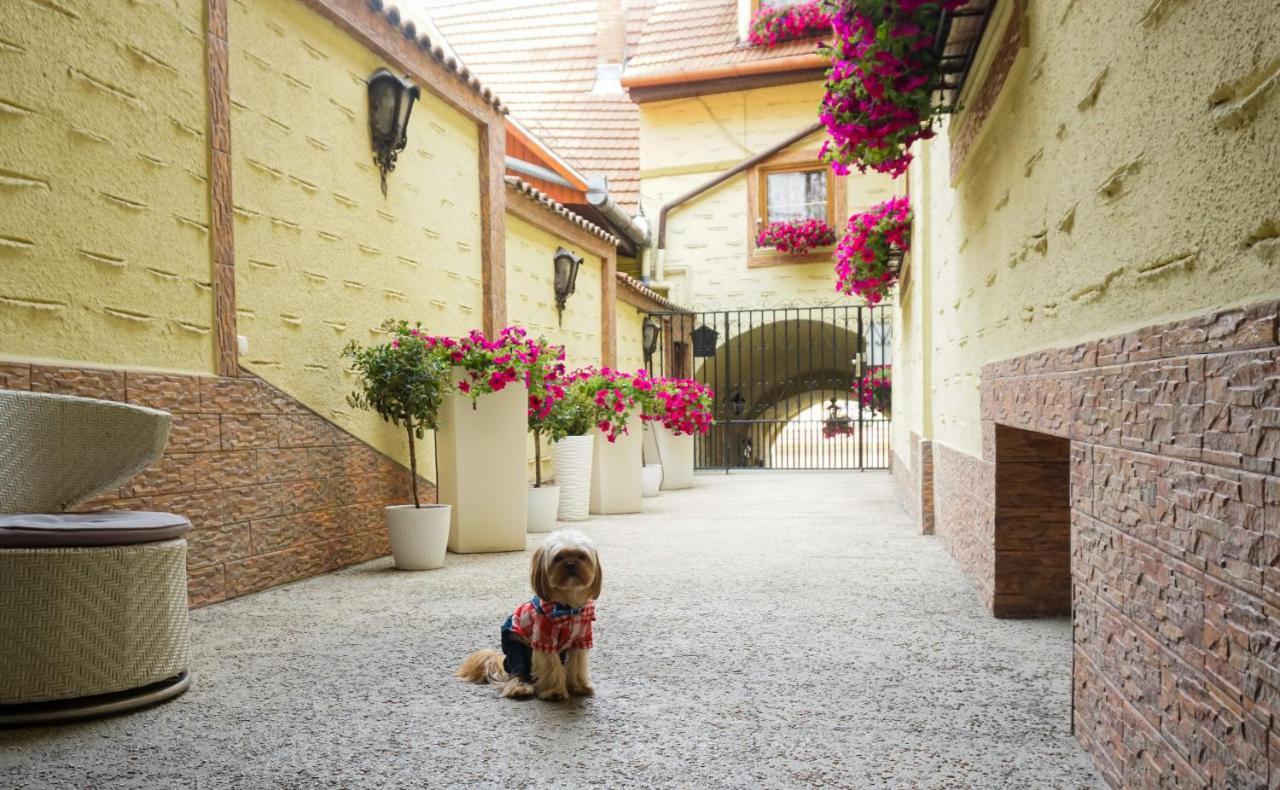 Hotel Claudiu Sighişoara Exterior foto